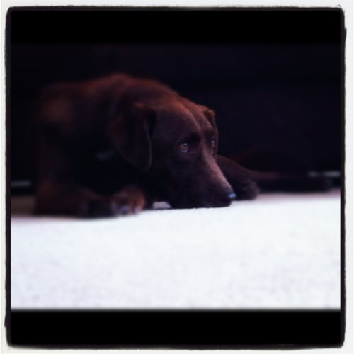 No photo for Harley