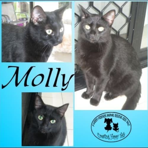 No photo for Molly