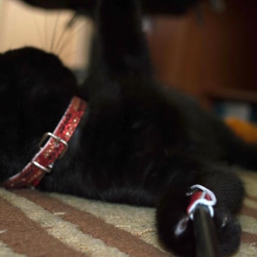 No photo for Barnaby