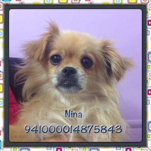No photo for Nina