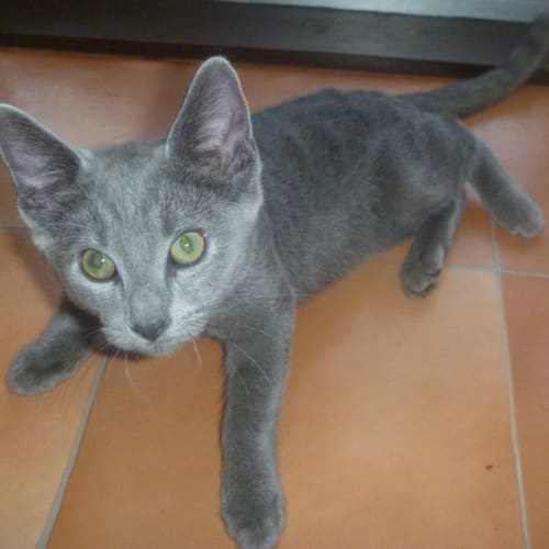 No photo for Coco(nc167)