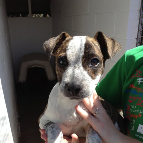 No photo for Missy