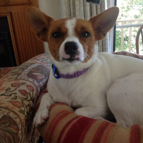 No photo for Matilda (Tilly)