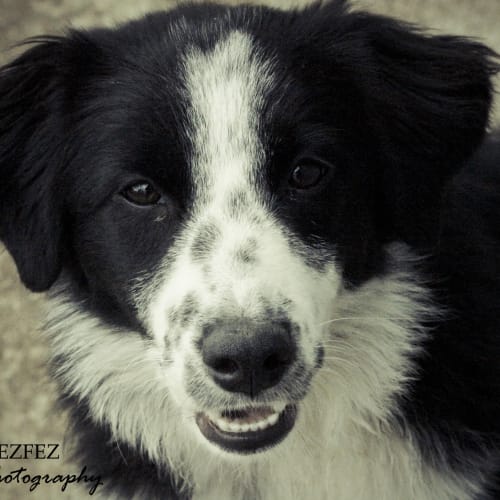 No photo for Zoe