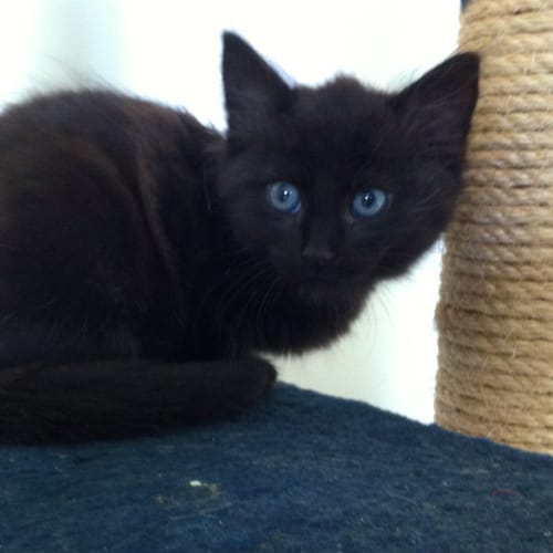 No photo for Antony (Located In Templestowe)