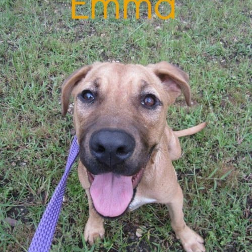 Emma (2) (On Trial 6/4/13)