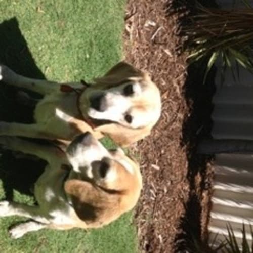 No photo for Angel & Buffy  