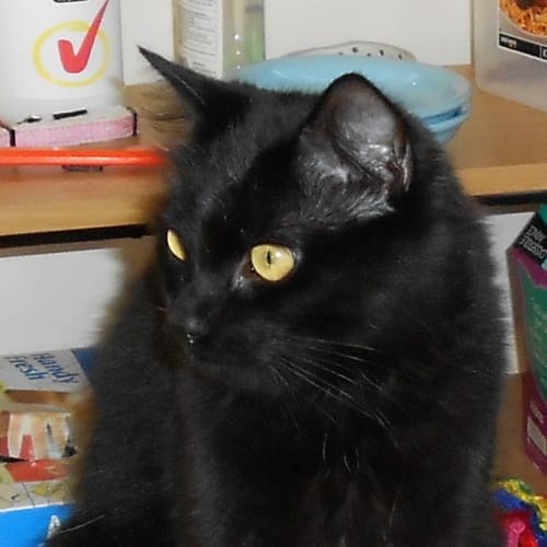 No photo for Zeba