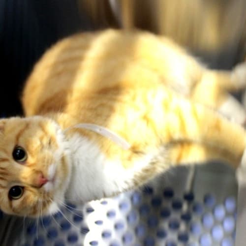 No photo for Jilly