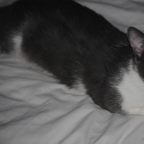 No photo for Evie