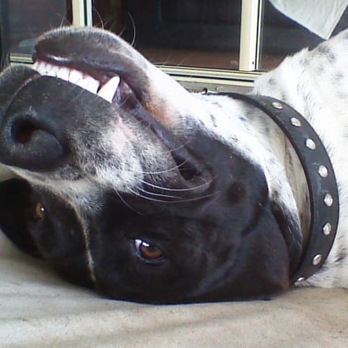 No photo for Wagster