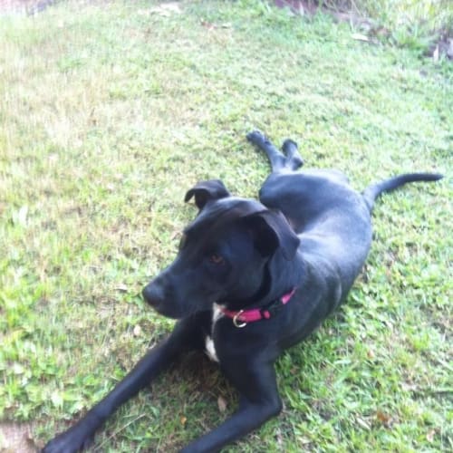 No photo for Ebony