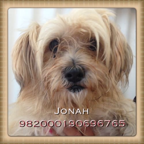 No photo for Jonah