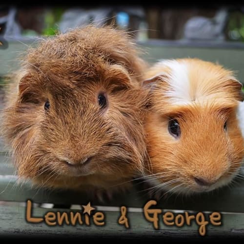 No photo for Lennie And George