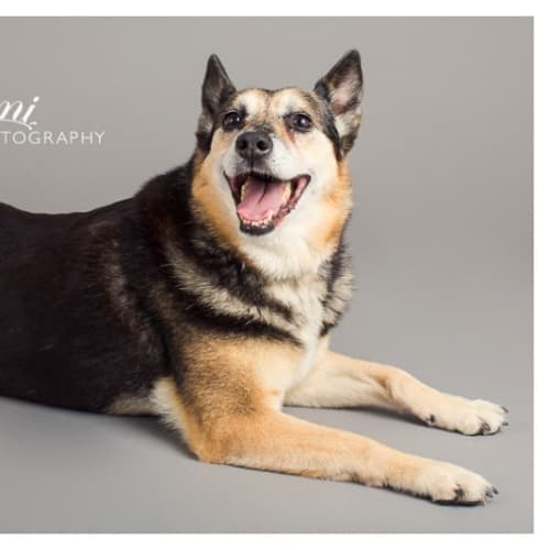 No photo for Bonnie