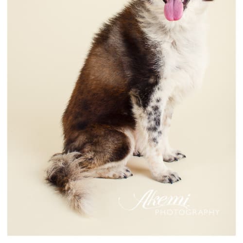 No photo for Mitsy