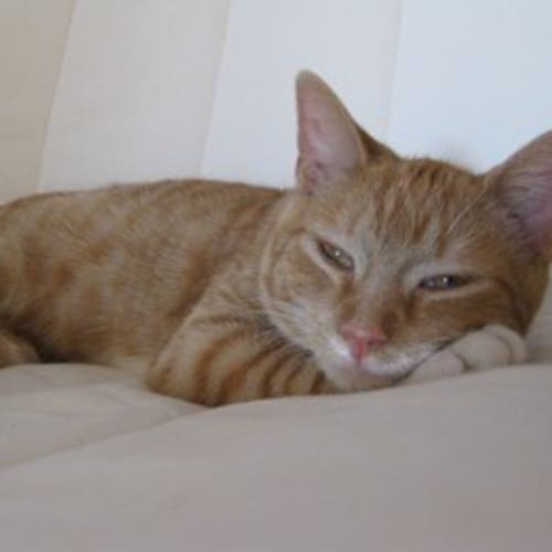 No photo for Max