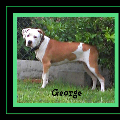 No photo for George
