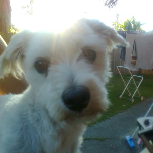 No photo for Casper