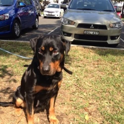 No photo for Mary Rosa **Urgent Foster Carer Needed Asap**