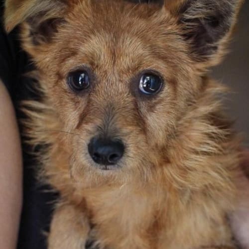 No photo for Jimmy ** Such A Quiet Precious Boy**