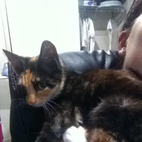 No photo for Polly