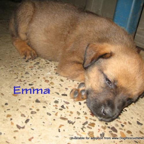 Emma (On Trial 4/5/13)