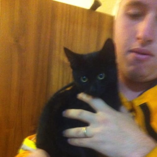 No photo for Salem