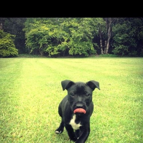 No photo for Kato