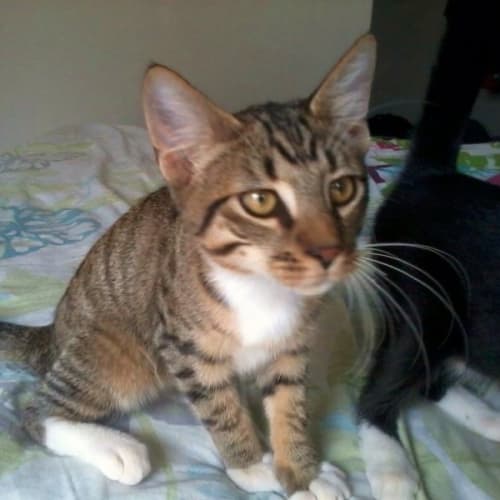 No photo for Jack **On Trial In My New Home**