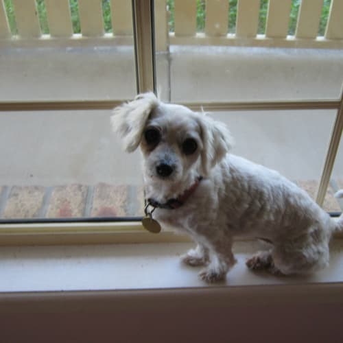 No photo for Mitzi