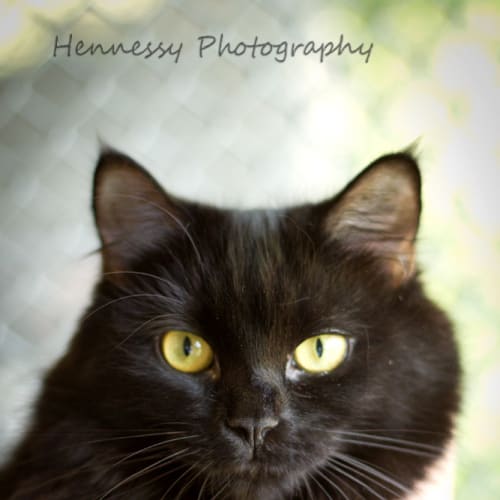 No photo for Wendy