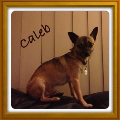 No photo for Caleb