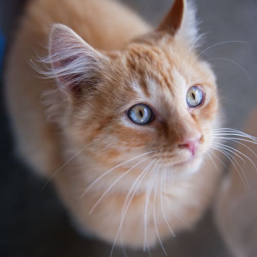 No photo for Reggie Id14384. Eyes Of Aquamarine
