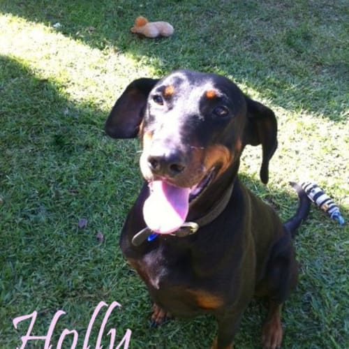Holly (On Trial 8/6/13)
