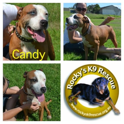 No photo for Candy ** Such A Loving Natured Girl **