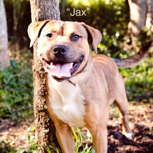 No photo for Jax