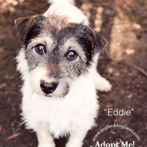 No photo for Eddie