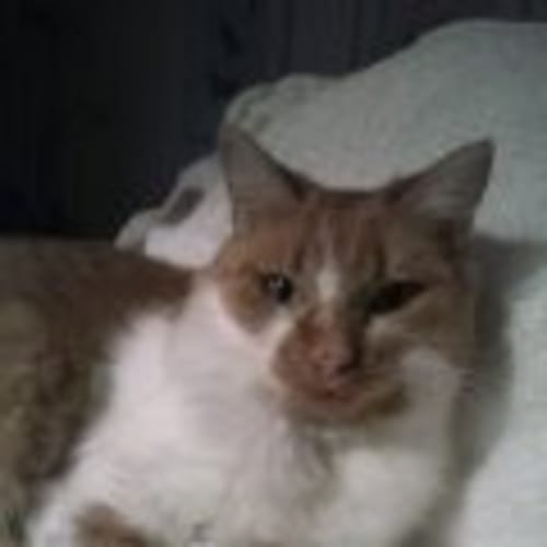 No photo for Peaches