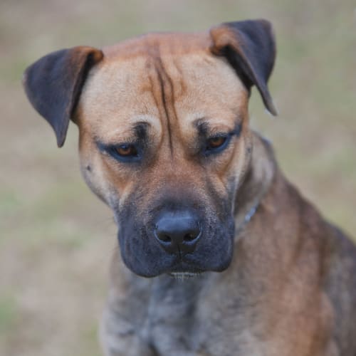 No photo for Trinity Id14816. Keep Me In And Love Me