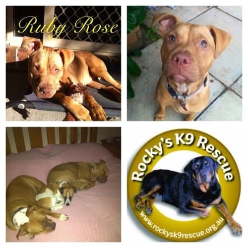 No photo for Ruby  Rose 