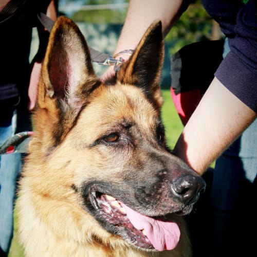 No photo for Zeus On Trial In His New Home