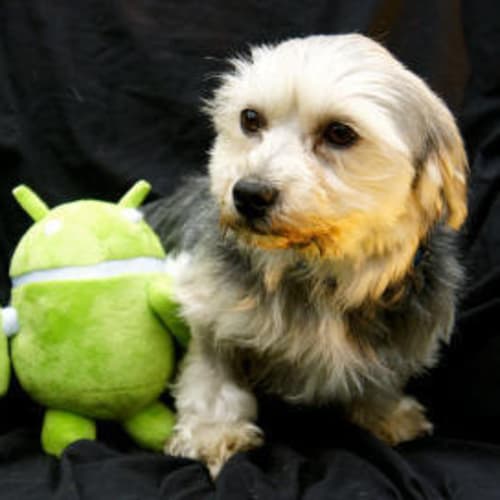Wallace