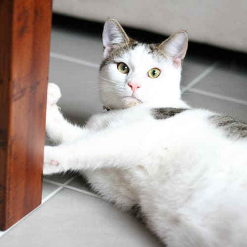 No photo for Marvin