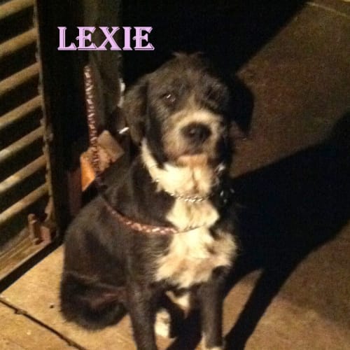 Lexie (On Trial 22/6/13)