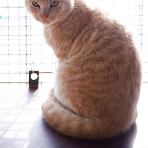 No photo for Minee Id15083. Meenee And Mo Have Gone!