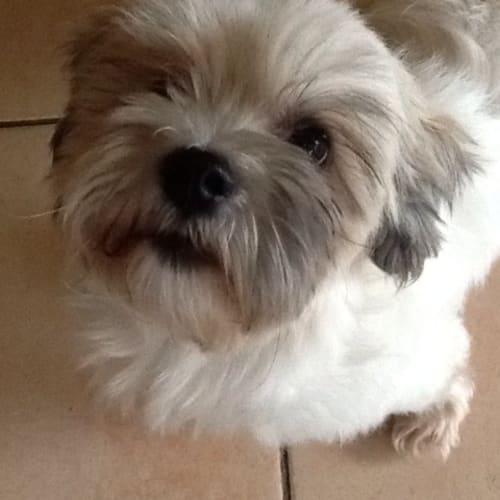 No photo for Roxy