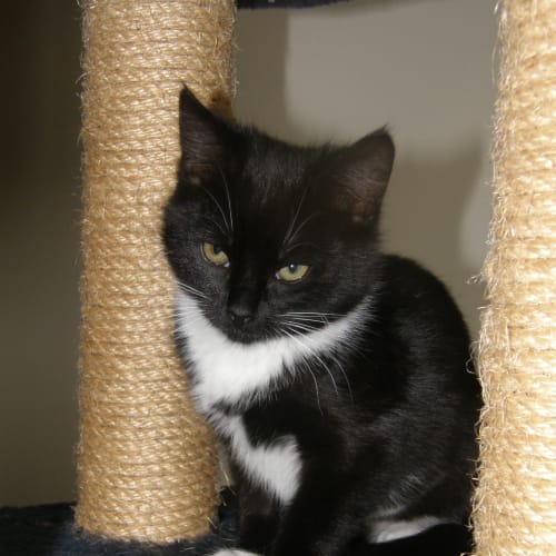 No photo for Blossom (Located In Templestowe)