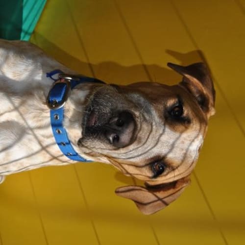 No photo for Georgie