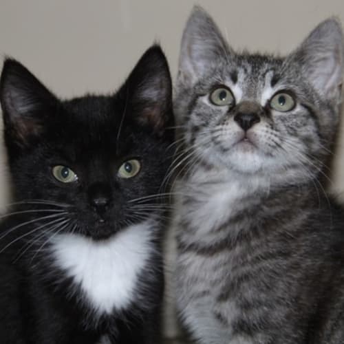 No photo for Archer & Lana 